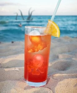 Fred Ice Mold | Octopus -Glassware & Drinkware Shop coolamari mari 2