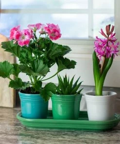 Fiesta® Windowsill Garden Set | Cool 10 Fiesta® Windowsill Garden Set | Cool -Glassware & Drinkware Shop coolgarden