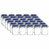 Bormioli Rocco 1L Swing Top Fido Glass Jars - Blue Lid | 30-pack 2 Bormioli Rocco 1L Swing Top Fido Glass Jars - Blue Lid | 30-pack -Glassware & Drinkware Shop ekb br1lfb 30