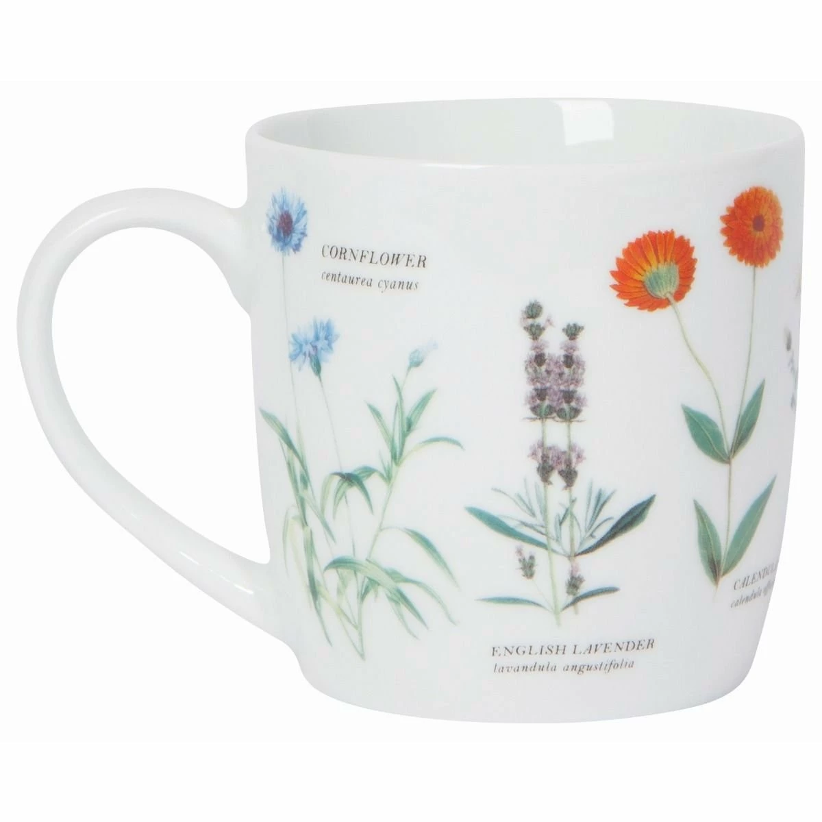 Danica Brands Now Designs By Danica 12oz Mug | Edible Flowers 4 Danica Brands Now Designs By Danica 12oz Mug | Edible Flowers - Image 2
