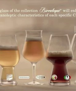 Luigi Bormioli Birrateque 23.25oz Seasonal Glass | Set Of 2 -Glassware & Drinkware Shop maxresdefault 151 52