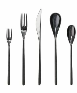 Fortessa Dragonfly 5pc Place Setting | Black