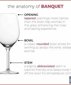 Fortessa Banquet® Wine Goblet Glasses | Set Of 6 9 Fortessa Banquet® Wine Goblet Glasses | Set Of 6 -Glassware & Drinkware Shop wine goblet banquet